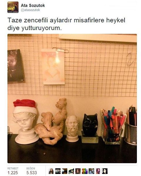 Taze zencefili aylardır...