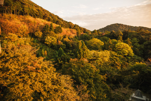 Sunday 22nd October 2017. 15:45 Kyoto Japan.Kiyomizu at sunset. It was actually not as busy as what 