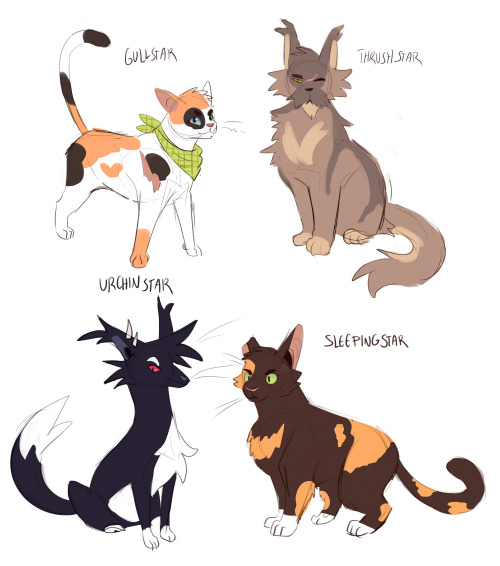 hello warrior cats fandom can i interest you in my fanclans 