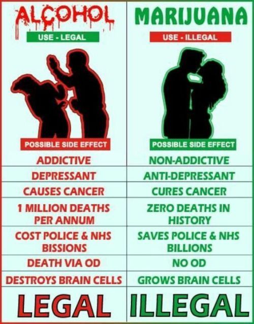 herbmedication:  alcohol vs marijuana tokevision.com  It&rsquo;s a no-brainer.
