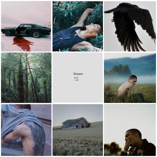 officialhermionegranger: moodboards |  the raven cycle                “In that moment, Blue was a l