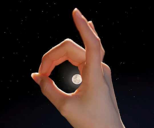 7ba01b820f982b8518255f095f337e31bc53c8ec.gif