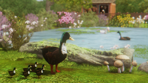 I Built This Cottage As An Alternative And Tbh It Has Everything I Need! A Duck Pond, A Greenhouse, A