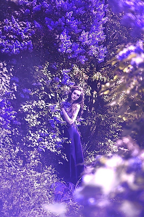 fairy–blood:  ✧
