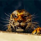 justinripley:Richard Parker, my fierce companion, terrible one who kept me alive.