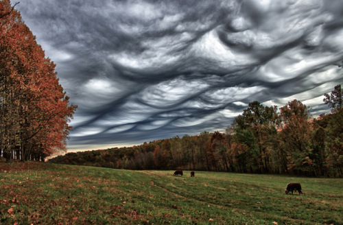 mymodernmet:  Undulatus asperatus, a rare cloud formation whose name means “roughened or agitated waves,” looks like a sea of stormy waters rolling across the sky. 