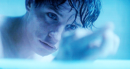 cromwyll:  infinite list of my favourite movies  The Theory of Everything [2014 dir. james marsh] “It is clear that we are just an advanced breed of primates on a minor planet orbiting around a very average star in the outer suburb of one among