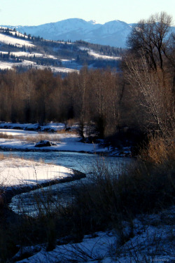 riverwindphotography:  Eagle Country: The Gros Ventre River, Grand Teton National Park, Wyoming by riverwindphotography, March 2016 