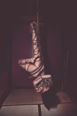 tessakuragi:  Shibari Bondage and Photo by THL EVILTHELL Model: Tessa Kuragi