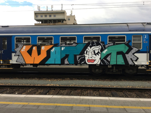 #graffitibrno #train #panel #traingraffiti #graffiti #czechgraffiti #brno #bombing #writer #crew #tr