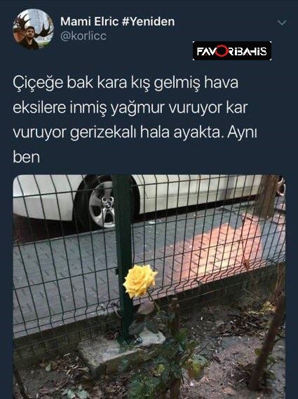 RT @FavoriSosyal: Çok...