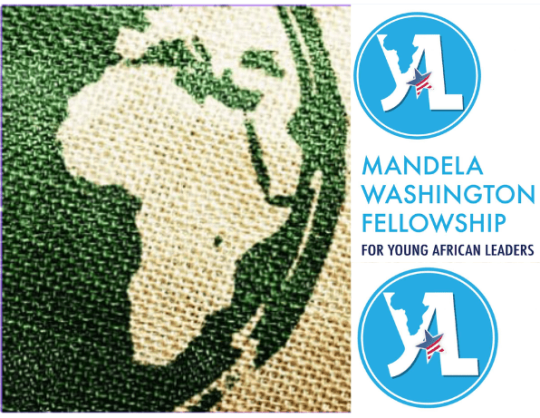 APPLY: 2023 Mandela Washington Fellowship for Young African Leaders (Sponsorship to USA)