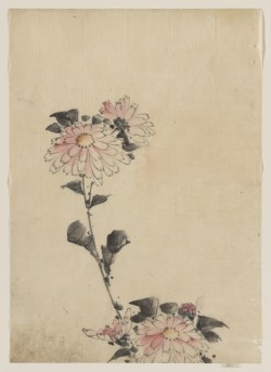 dappledwithshadow:  Hokusai 