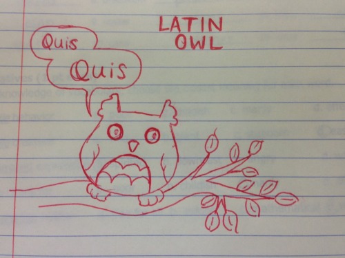sophisticatenature:Student artHahahae.Owls in Latin seemed to have said something like “tu tu.