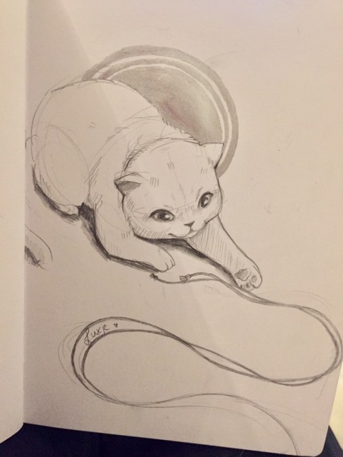 Another small sketch. With an annoying cat. And I wanted to mess with my silver paint. Still open to