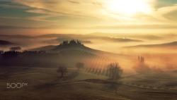 euph0r14:  landscape | The Surreal Val d'Orcia