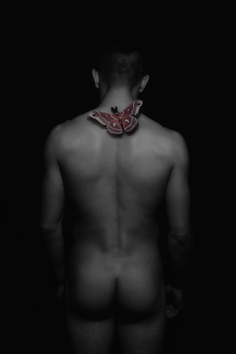 mdnhys:  Butterfly