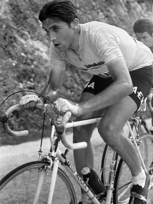 Eddy Merckx   
