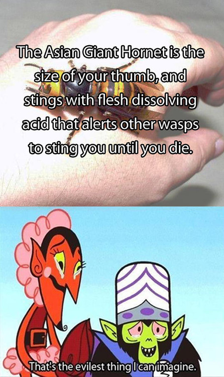 Ashes To Ashes, Dust To Dust