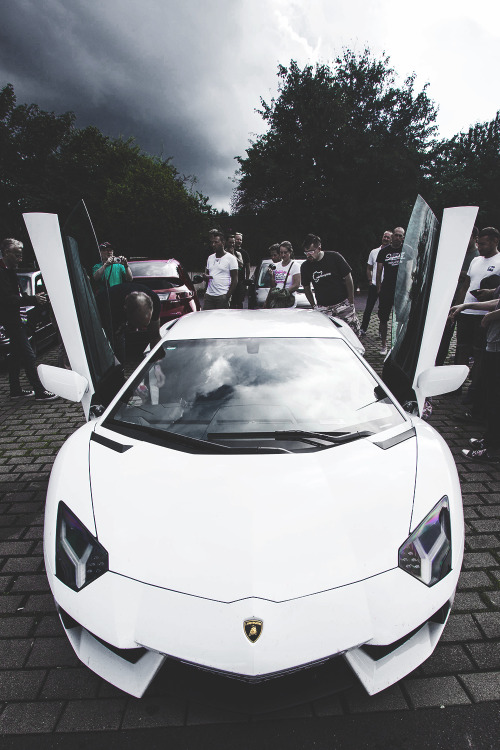 Porn envyavenue:  Lamborghini Aventador  photos