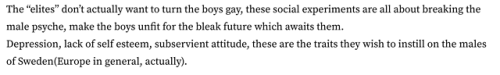 It’s official policy in Sweden to teach white boys to be obedient sissies, to ease the takeover