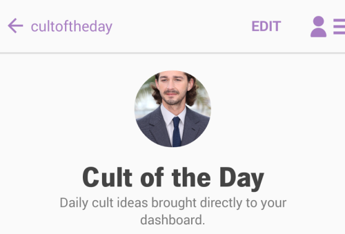 Today’s Cult:Cult Ideas Cult