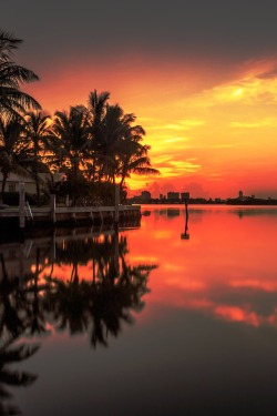 motivationsforlife:  MIAMI SUNRISE || MFL