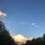 ardentlym