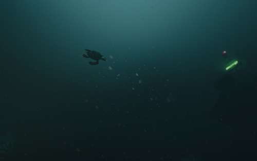 iilovepathos:Site Delta pt. 2