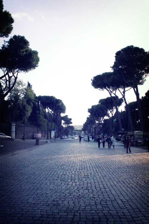 leebarguss:  Rome | Florence - Educational Trip (by Lee Barguss) 
