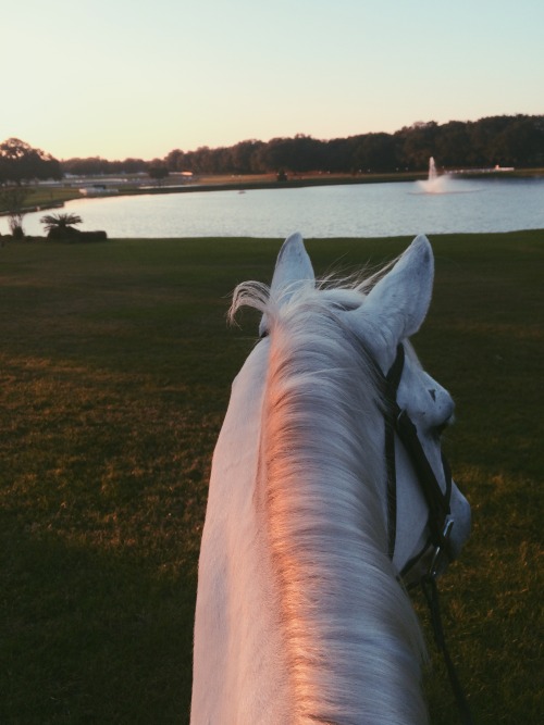 huntersinstride:Views // Grand Oaks Resort 