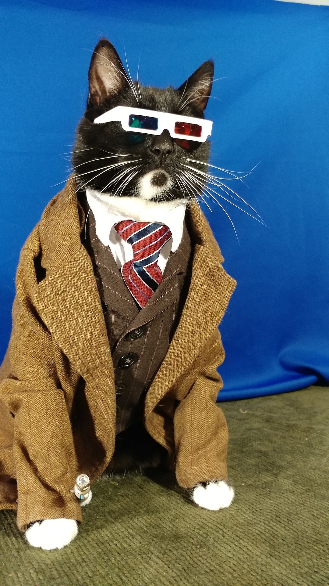 cat-cosplay:“Now, first things first. Be honest. How do I look?” ~ The 10th Doct'purr