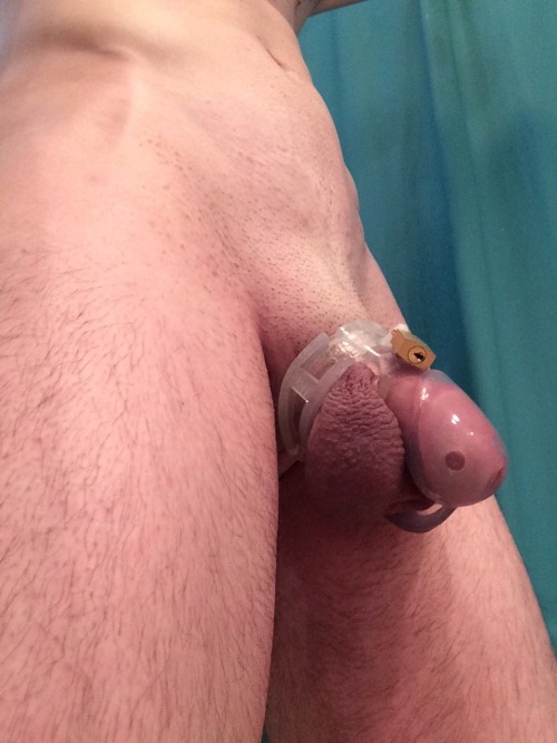 ohmurrr:  Got a Bon4 Plus chastity device today :) —————————————————— I’m still looking for one of my followers to lock me in a Holy Trainer! Read about that here: http://ohmurrr.tumblr.com/post/88512879084/i-want-to-try-a-holy-trainer-chastity-device