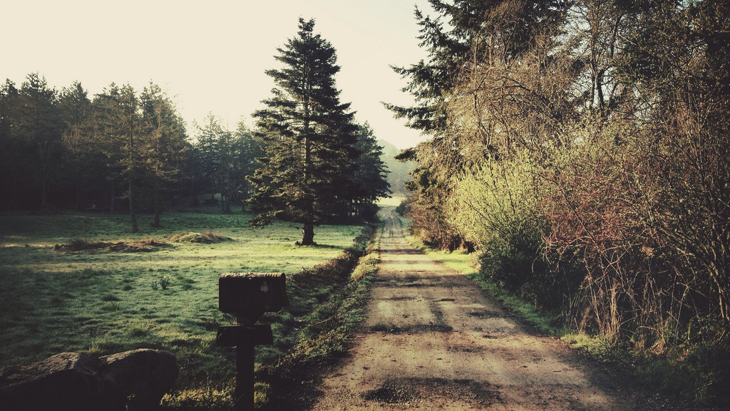 tearingdowndoors:  tylerforesthauser 