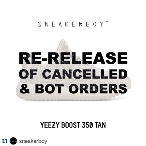 Porn Pics US 5.5 #deadbot @sneakerboy by officialangelawhite