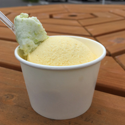 愛情館に来たらカザロが店頭でひと玉150円セールしてたので、トウモロコシのジェラート。おまけのワンスプーンは枝豆。 ミルク感たっぷりで滑らか。口溶けがいい。トウモロコシの風味がそれほど強くないのはちょ