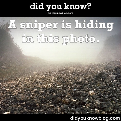 Porn Pics did-you-kno:  Snipers Are Hiding In All Of