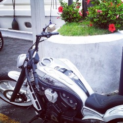 tindrafrost:  #JamesDean #motorcycle #PuertoBanus