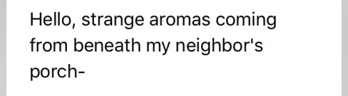 sabertoothwalrus:  maestrokitty:  disposablebicycle:  disposablebicycle:  disposablebicycle:  disposablebicycle:   disposablebicycle:   disposablebicycle:   Freelancing in technical theater means you’re on a lot of different email lists. People need