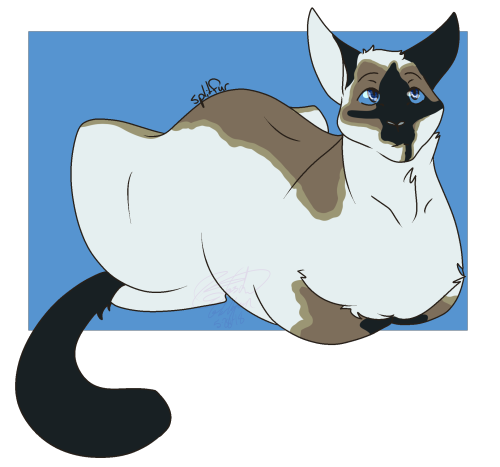 MossClan Dump