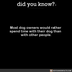 did-you-kno:  Most dog owners would rather  spend time with their dog than  with other people.   Source Source 2