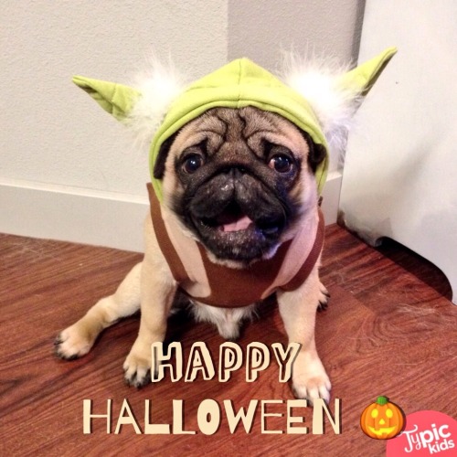 Did everyone have a good Halloween? Mine was the best! May the Force with you be&hellip;