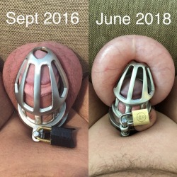 Sneakerguyinchastity: That’s The Evidence: With A Chastity Device, My Dick Has