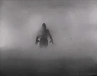 classichorrorblog:   The Creature From The Black Lagoon (1954) Directed by Jack Arnold