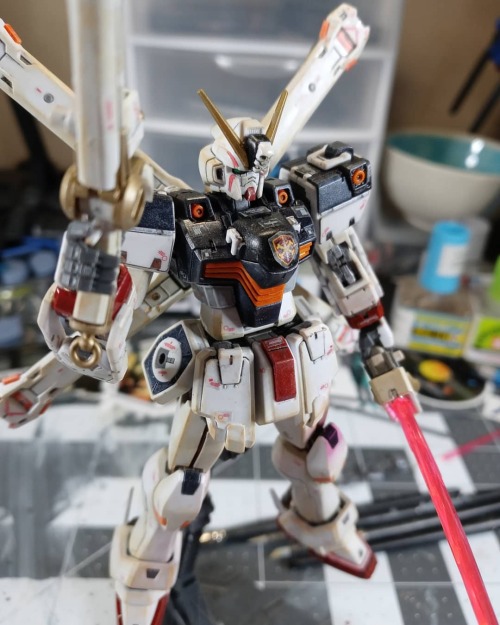 RG Crossbone Gundam – Here he is panel lined with decals before I start doing the finer detail