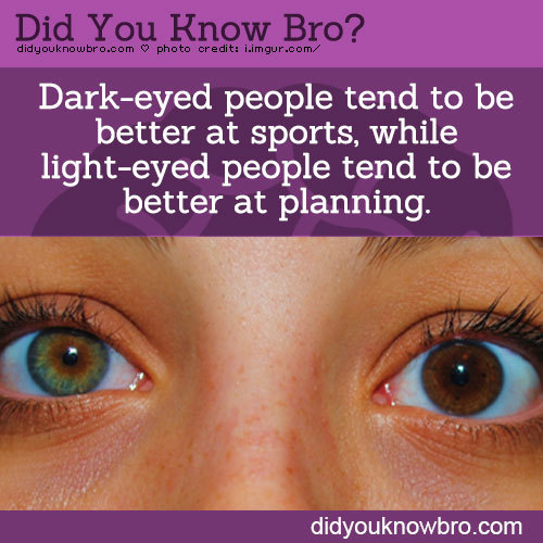 didyouknowbro:  Dark-eyed people tend to be better at sports, while light-eyed people tend to be better at planning. - Follow DidYouKnowBro for more Fun, interesting & Weird Facts