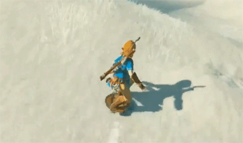 elfzelda:riding the shield