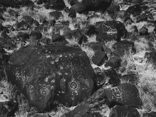 naturalhunter: Petroglyph National Monument