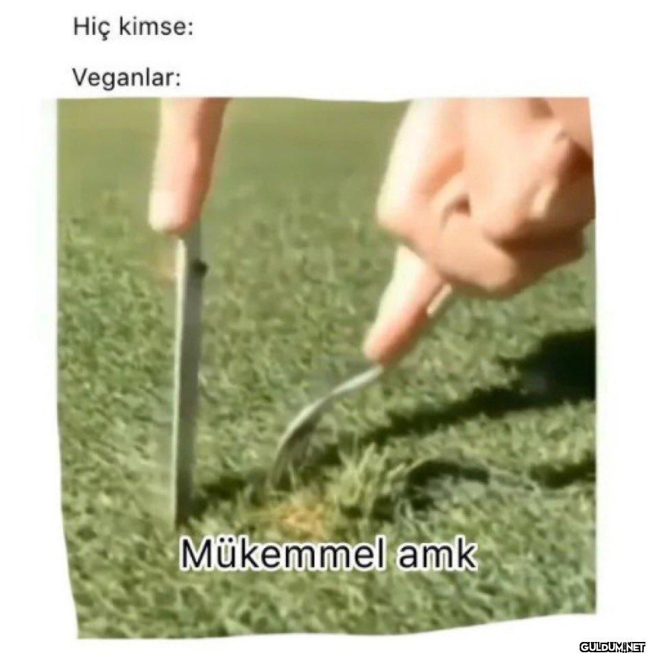 Hiç kimse: Veganlar:...