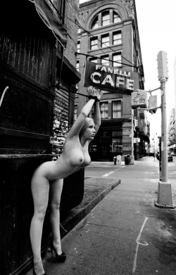 austi81:  I always tie my pets up outside the cafe before going in.